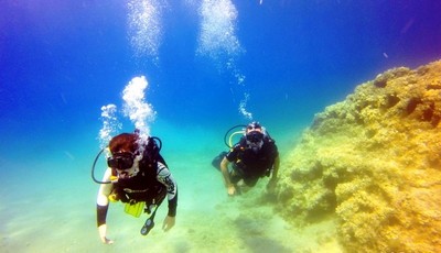 Scuba Diving